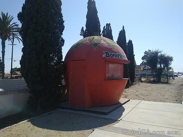 bono orange01