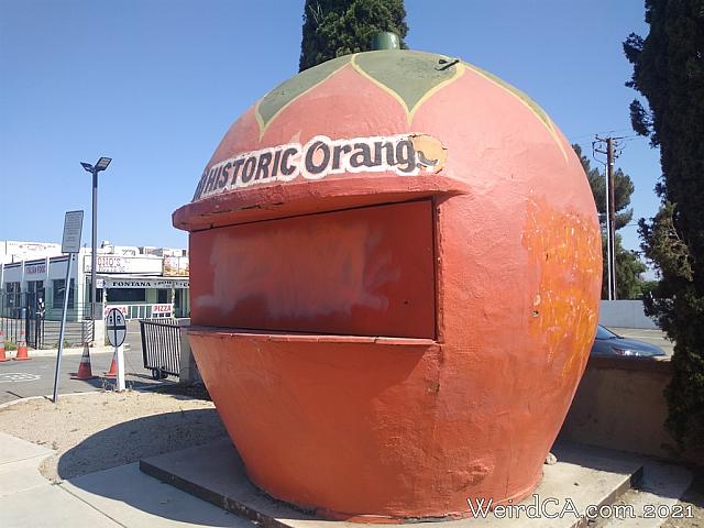 bono orange05