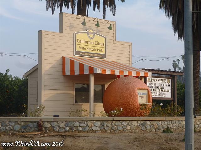 riverside orange08