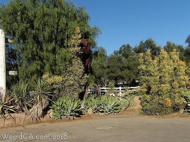 jurupa dinosaurs005