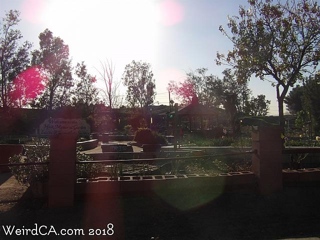 jurupa dinosaurs012