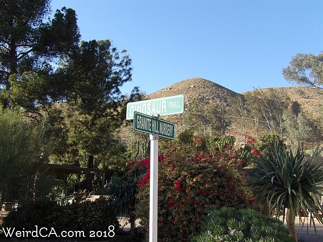 jurupa dinosaurs020
