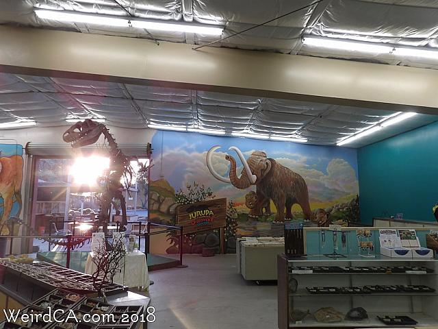 jurupa dinosaurs127