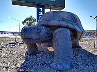 Arizona