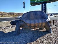 Giant Tortoise