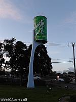 Giant Shasta Can