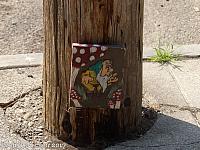 Oakland Gnomes
