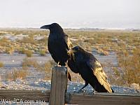 Death Valley's harsh environment has led to many missing mines and treasures!