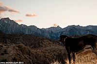 Ruby takes in the beauty of Alabama Hills.