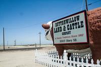 The Giant Steer of Buttonwillow