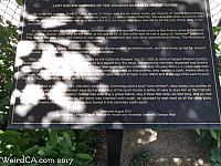 horsegroomer12