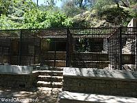 Cages at the Old LA Zoo