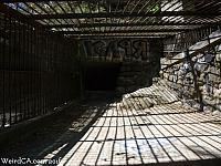 oldlazoo25