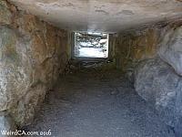 oldlazoo32