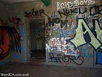 oldlazoo42