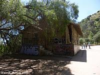 oldlazoo50