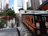 angelsflight28