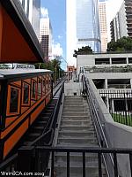 angelsflight30