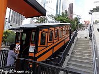 angelsflight31