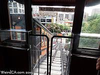 angelsflight37