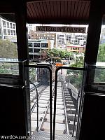 angelsflight38