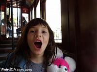 angelsflight50