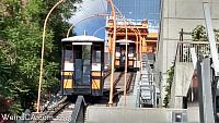 angelsflight92