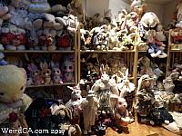 Bunny Museum