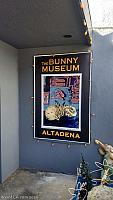 bunny museum104