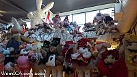 bunny museum137
