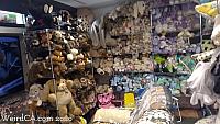 bunny museum176