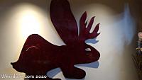 bunny museum192