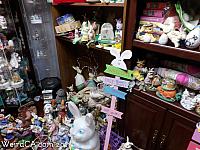 The Bunny Museum
