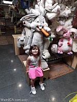 bunny museum76