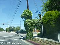 The Ivy Poodle