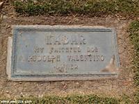 LA Pet Cemetery