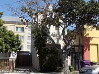Long Beach Skinny House