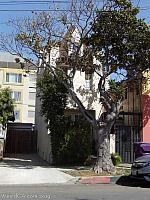 lb skinny house04