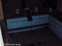 queen mary129