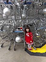 shoppingcarttree48