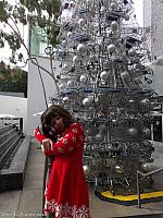 shoppingcarttree49