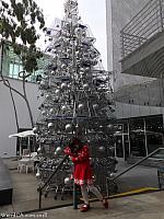 shoppingcarttree51