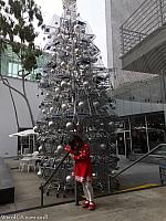 shoppingcarttree52