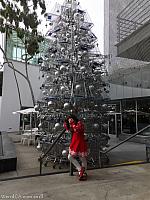 shoppingcarttree53