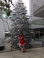 shoppingcarttree55
