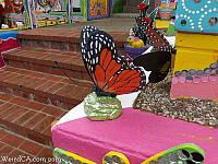 butterfly house23