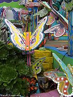 butterfly house41