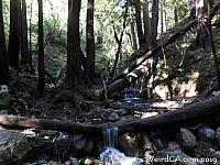 limekilnstatepark001