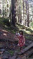 limekilnstatepark027