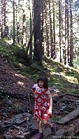 limekilnstatepark028